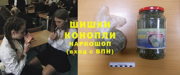 крисы Дмитриев