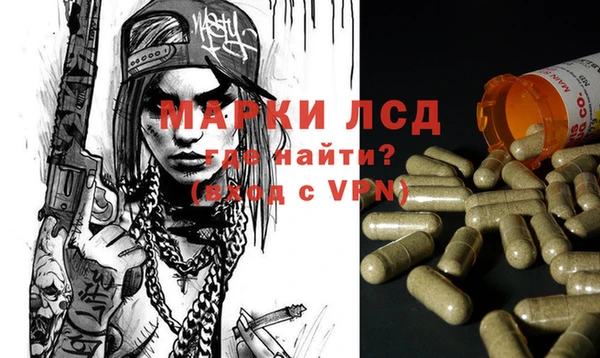 apvp Дмитровск