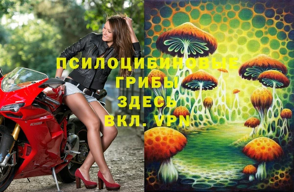 apvp Дмитровск