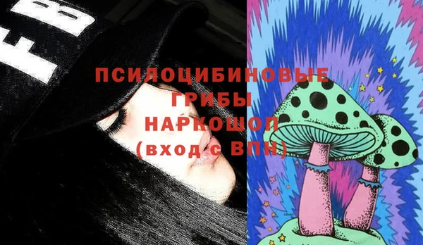 крисы Дмитриев
