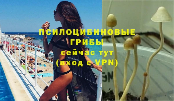 крисы Дмитриев