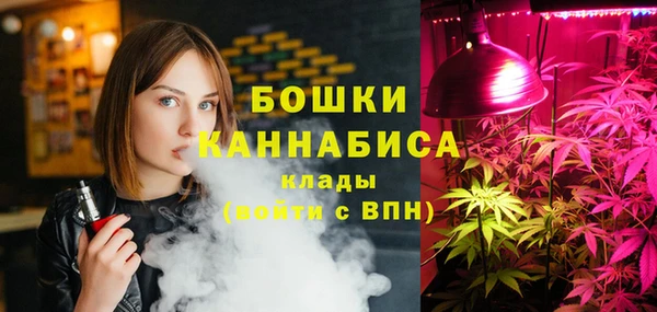 крисы Дмитриев