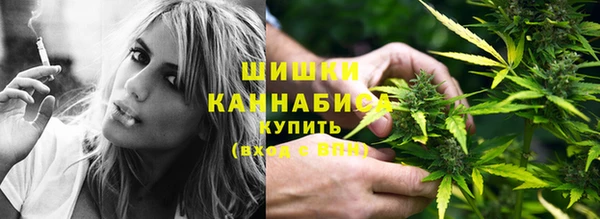 крисы Дмитриев